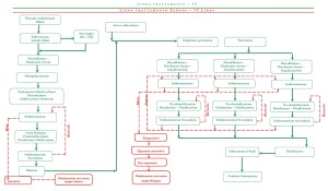 Schema a blocchi impianto_